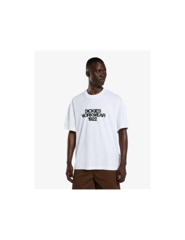 copy of Dickies T-Shirt Summerdale...