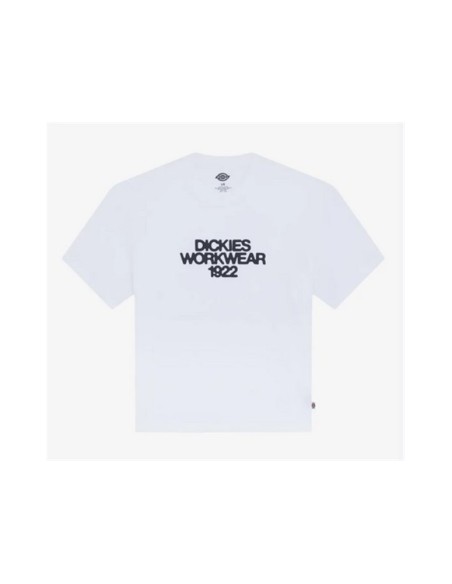 copy of Dickies T-Shirt Summerdale Brown Duck - DK0A4YAI0BD