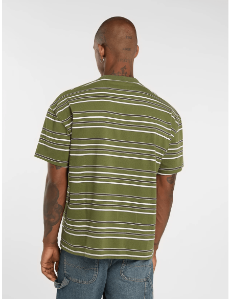 copy of Dickies T-Shirt Summerdale Brown Duck - DK0A4YAI0BD