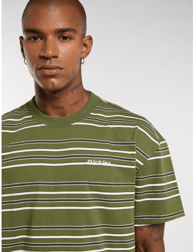 copy of Dickies T-Shirt Summerdale...