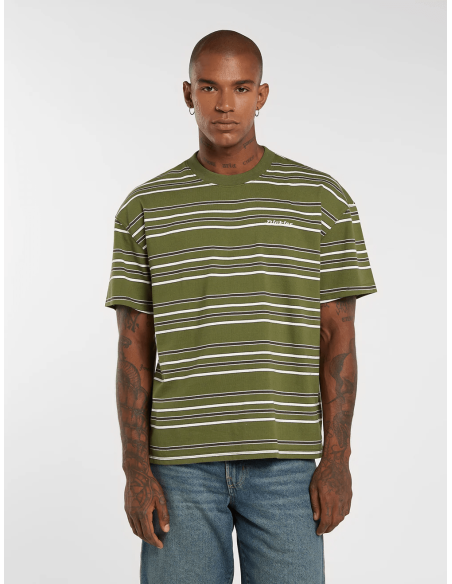 copy of Dickies T-Shirt Summerdale Brown Duck - DK0A4YAI0BD