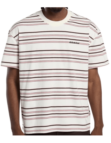 copy of Dickies T-Shirt Summerdale...