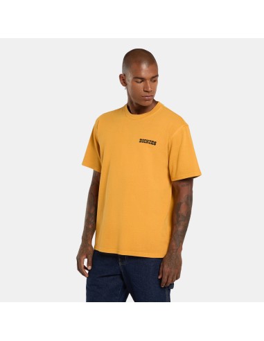 copy of Dickies T-Shirt Summerdale...