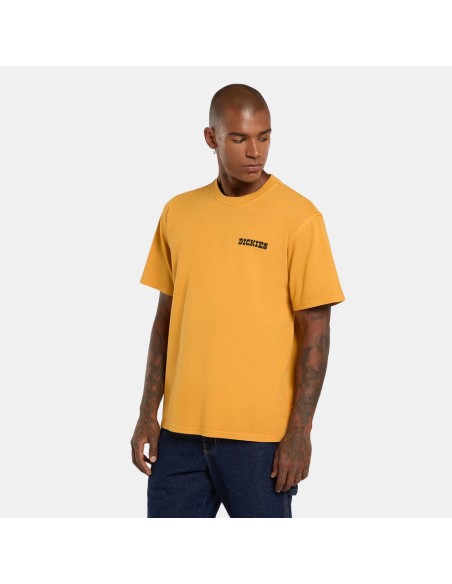 copy of Dickies T-Shirt Summerdale Brown Duck - DK0A4YAI0BD