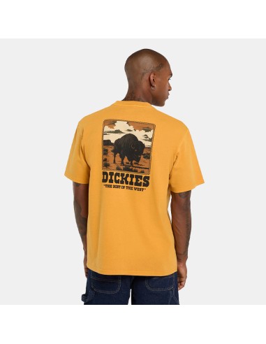 copy of Dickies T-Shirt Summerdale...