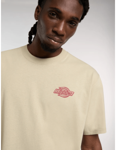 copy of Dickies T-Shirt... 2