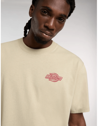 copy of Dickies T-Shirt Summerdale...