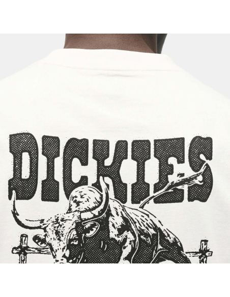 copy of Dickies T-Shirt Summerdale Brown Duck - DK0A4YAI0BD
