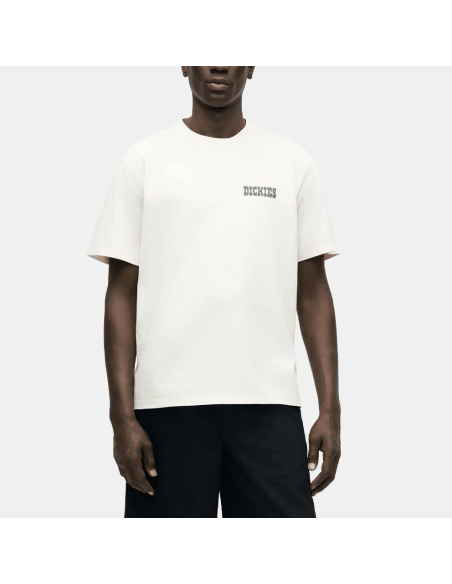 copy of Dickies T-Shirt Summerdale Brown Duck - DK0A4YAI0BD