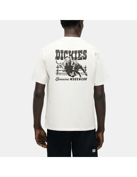 copy of Dickies T-Shirt Summerdale Brown Duck - DK0A4YAI0BD