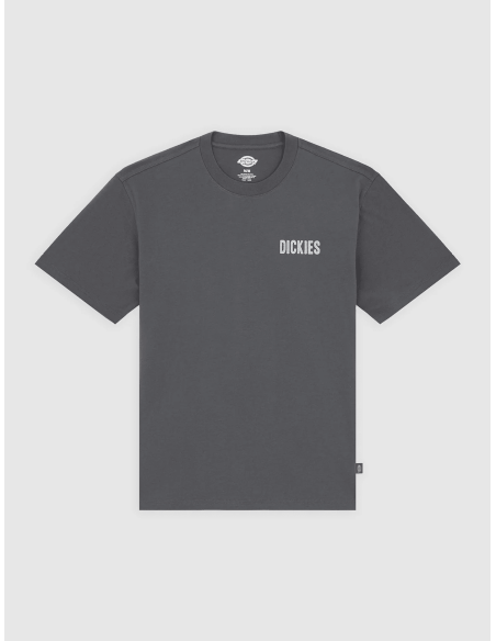 copy of Dickies T-Shirt Summerdale Brown Duck - DK0A4YAI0BD