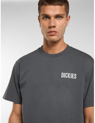 copy of Dickies T-Shirt Summerdale...