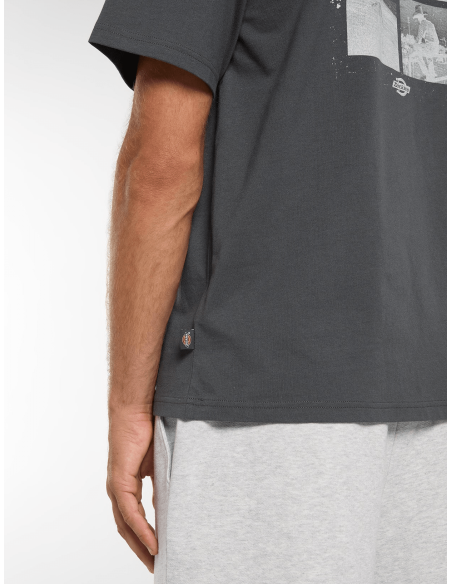 copy of Dickies T-Shirt Summerdale Brown Duck - DK0A4YAI0BD