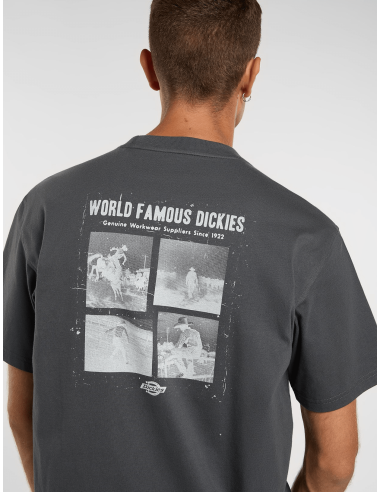 copy of Dickies T-Shirt Summerdale...