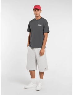 copy of Dickies T-Shirt... 2