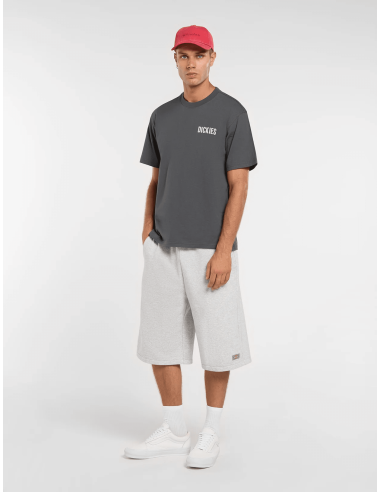 copy of Dickies T-Shirt Summerdale...