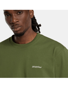 Dickies LORETTO SS TEE... 2