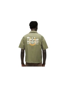 Dickies VERNAL SHIRT -... 2