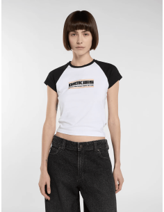 Dickies DERBY RAGLAN SS TEE...