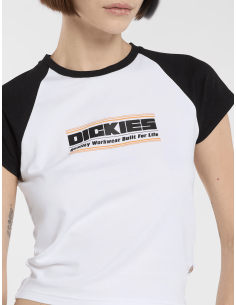 Dickies DERBY RAGLAN SS TEE... 2