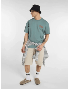 Dickies T-shirt -DK0A88GOL37
