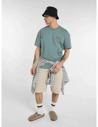 Dickies T-shirt -DK0A88GOL37