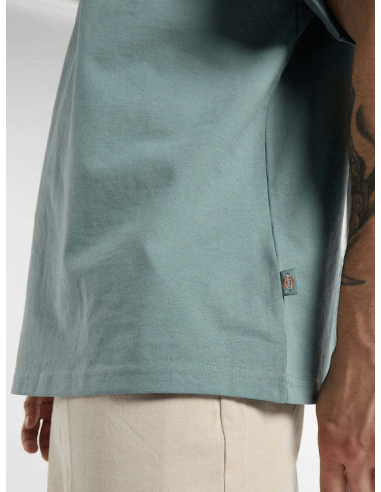 Dickies T-shirt -DK0A88GOL37