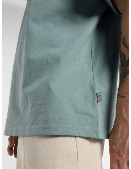 Dickies T-shirt -DK0A88GOL37