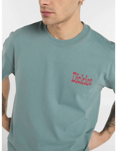 Dickies T-shirt -DK0A88GOL37