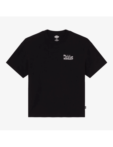 Dickies T-shirt-  DK0A88GOBLK1