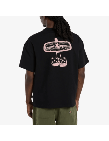 Dickies T-shirt-  DK0A88GOBLK1