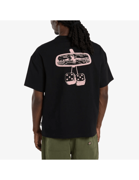 Dickies T-shirt-  DK0A88GOBLK1