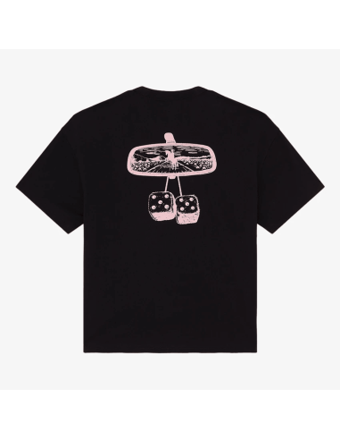 Dickies T-shirt-  DK0A88GOBLK1