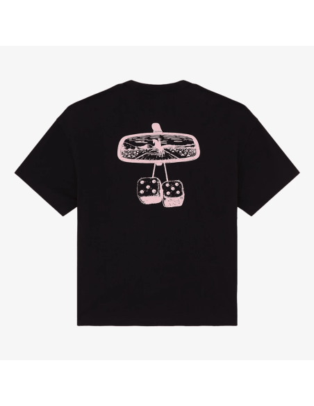 Dickies T-shirt-  DK0A88GOBLK1