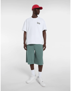 Dickies T-shirt White -...