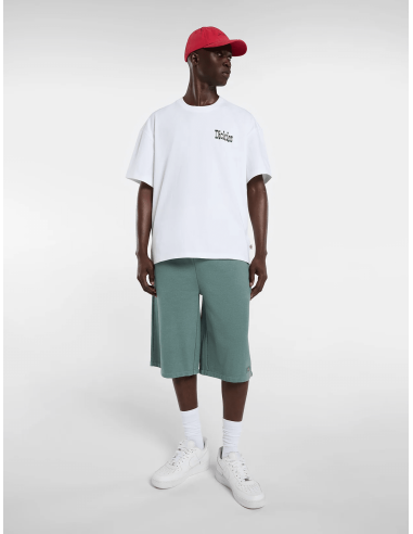 Dickies T-shirt White -  DK0A88GO0WH1