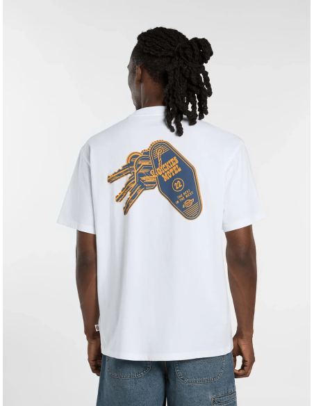 Dickies T-Shirt - DK0A88JI0WH1