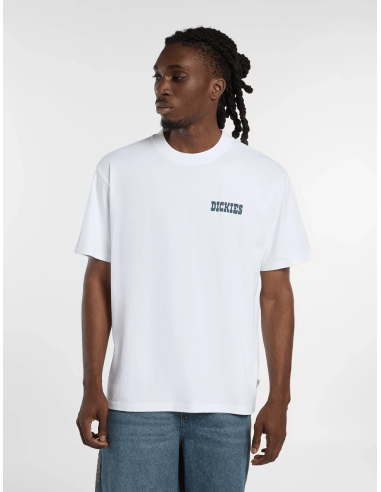 Dickies T-Shirt - DK0A88JI0WH1