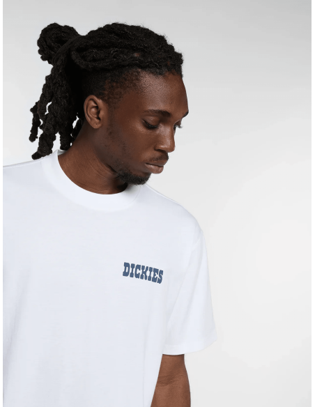 Dickies T-Shirt - DK0A88JI0WH1