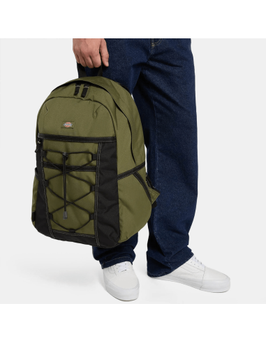 Dickies Backpack - DK0A4Y33K721