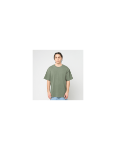 Carhartt T-Shirt RGGD -... 2