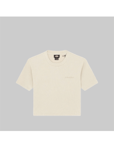 Dickies PLENTYWOOD TEE SS W...