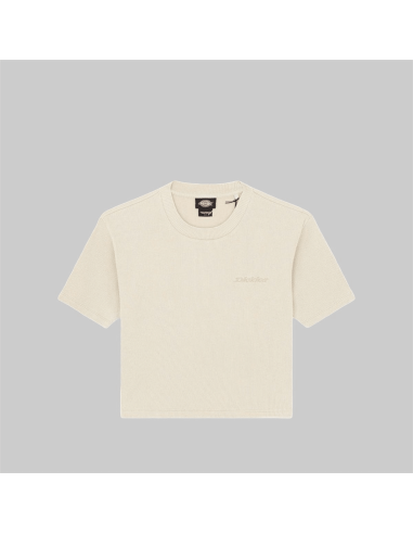 Dickies PLENTYWOOD TEE SS W...