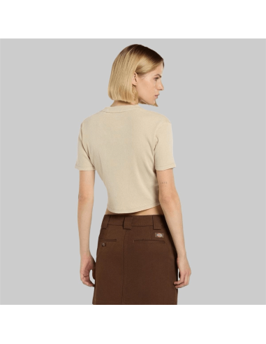 Dickies PLENTYWOOD TEE SS W...