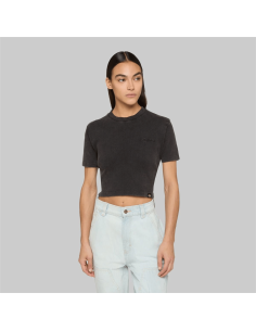 Dickies PLENTYWOOD TEE SS W...