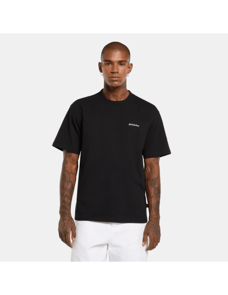 copy of Dickies T-Shirt Summerdale Brown Duck - DK0A4YAI0BD