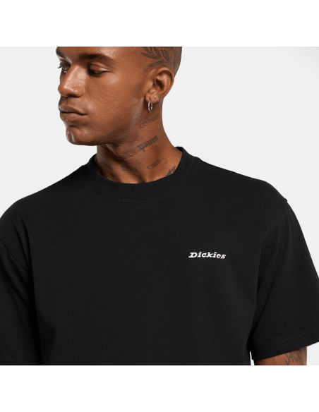 copy of Dickies T-Shirt Summerdale Brown Duck - DK0A4YAI0BD