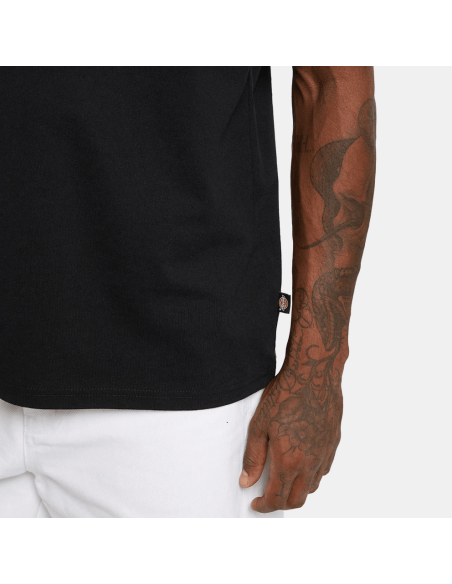 copy of Dickies T-Shirt Summerdale Brown Duck - DK0A4YAI0BD