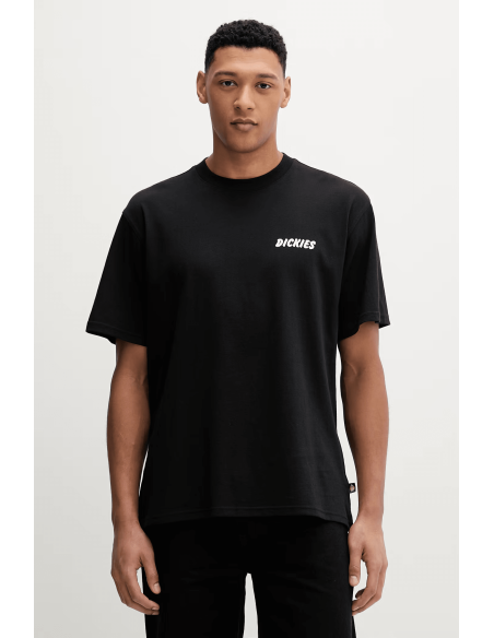 copy of Dickies T-Shirt Summerdale Brown Duck - DK0A4YAI0BD