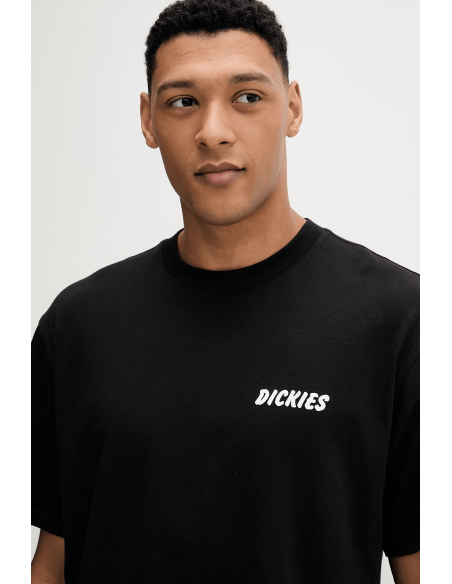 copy of Dickies T-Shirt Summerdale Brown Duck - DK0A4YAI0BD